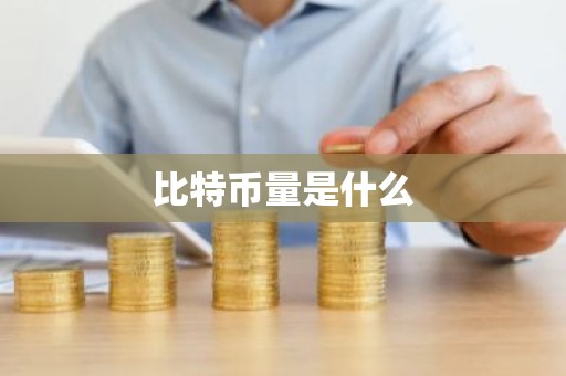 比特币量是什么