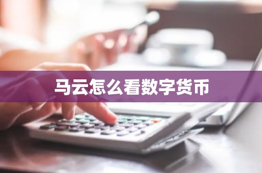 马云怎么看数字货币