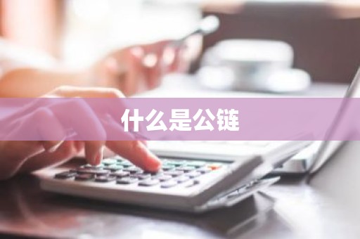 什么是公链