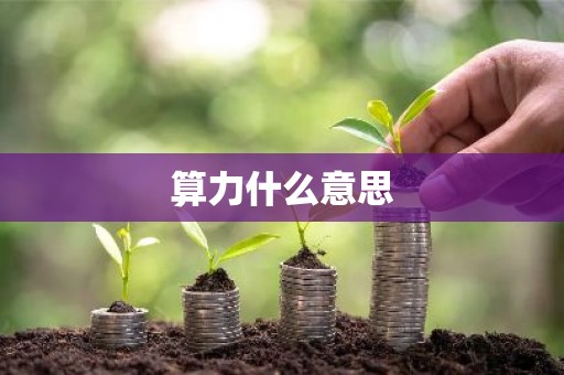 算力什么意思