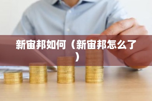 新宙邦如何（新宙邦怎么了）