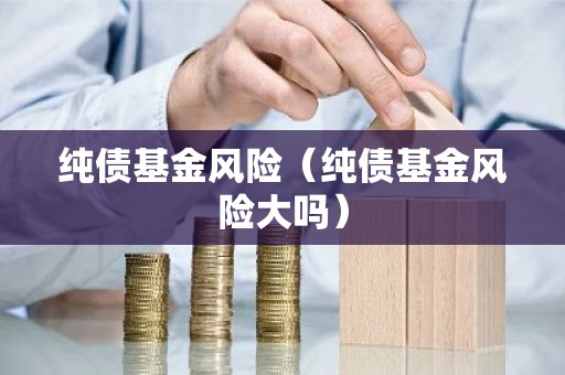 纯债基金风险（纯债基金风险大吗）