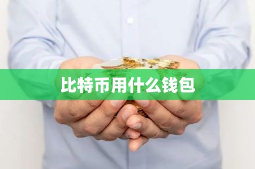 比特币用什么钱包
