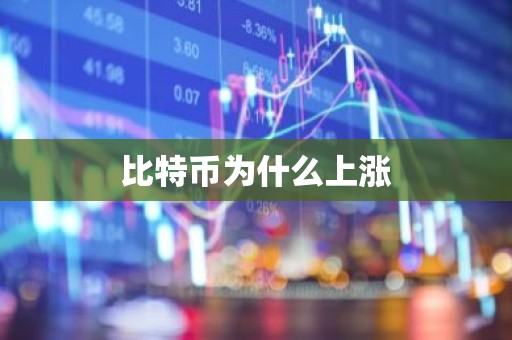 比特币为什么上涨