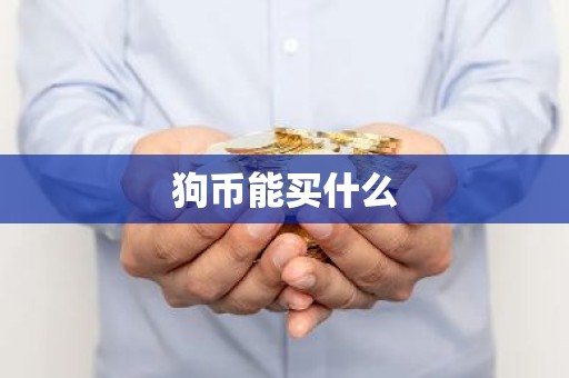 狗币能买什么