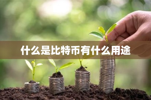 什么是比特币有什么用途