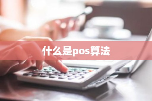 什么是pos算法