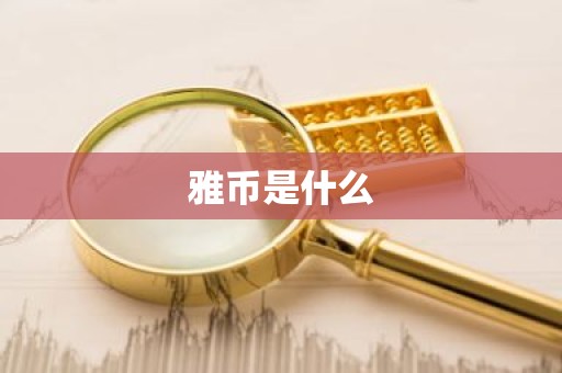 雅币是什么