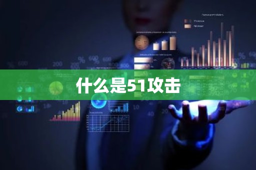 什么是51攻击