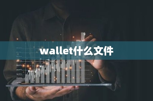 wallet什么文件