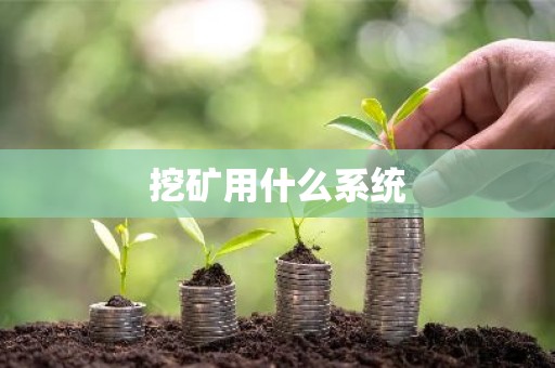 挖矿用什么系统