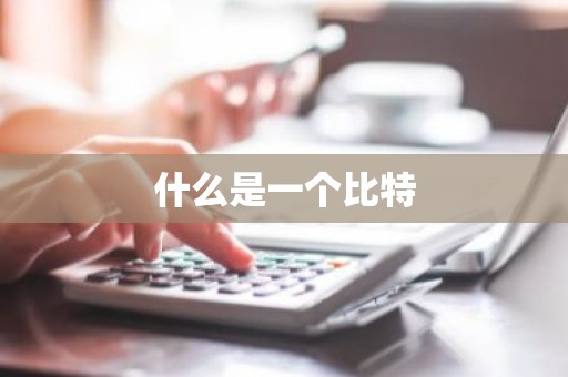 什么是一个比特