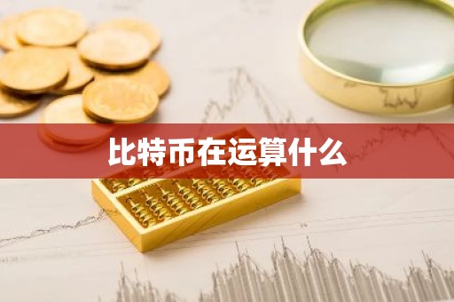 比特币在运算什么