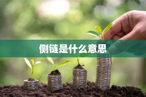 侧链是什么意思