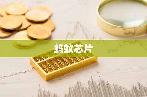 蚂蚁芯片