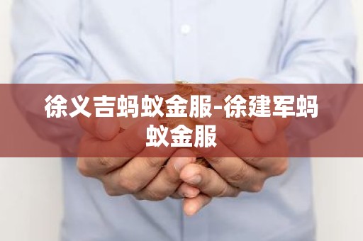 徐义吉蚂蚁金服-徐建军蚂蚁金服