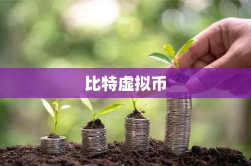 比特虚拟币