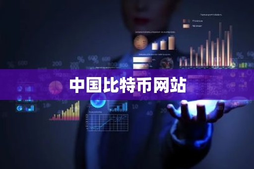 中国比特币网站