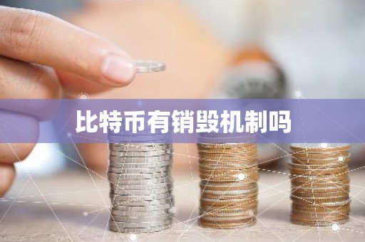 比特币有销毁机制吗