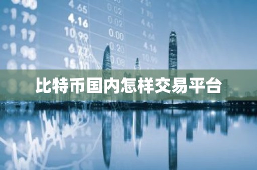 比特币国内怎样交易平台