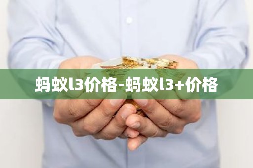 蚂蚁l3价格-蚂蚁l3+价格