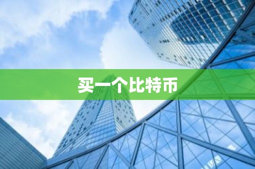 买一个比特币