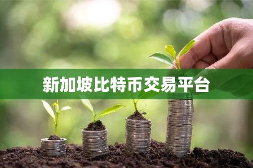 新加坡比特币交易平台