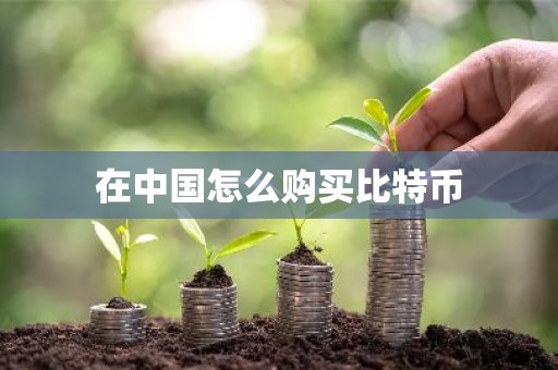 在中国怎么购买比特币