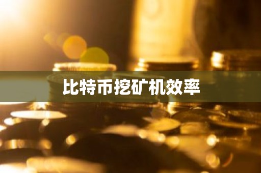 比特币挖矿机效率