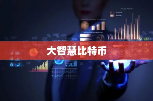 大智慧比特币