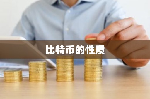 比特币的性质