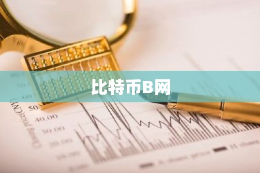 比特币B网