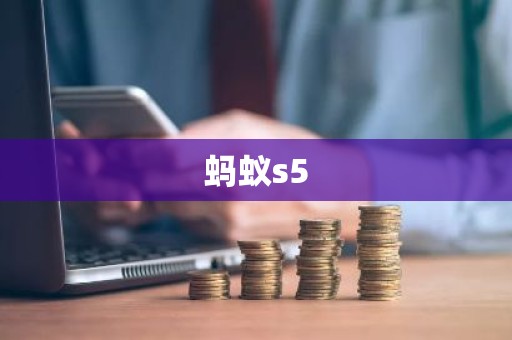 蚂蚁s5
