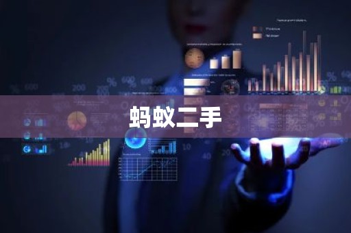 蚂蚁二手