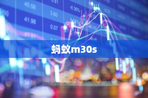 蚂蚁m30s