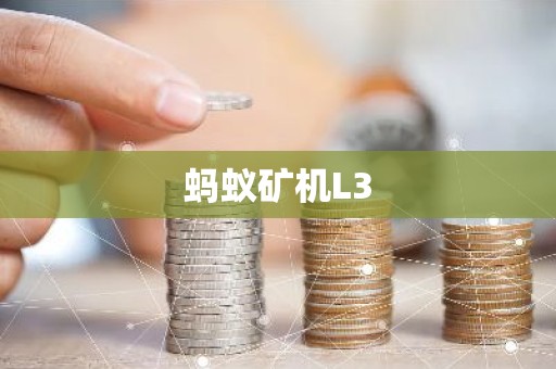 蚂蚁矿机L3