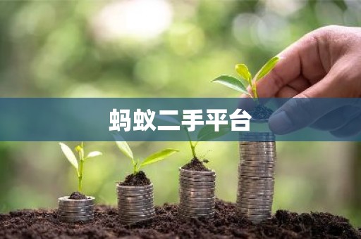蚂蚁二手平台