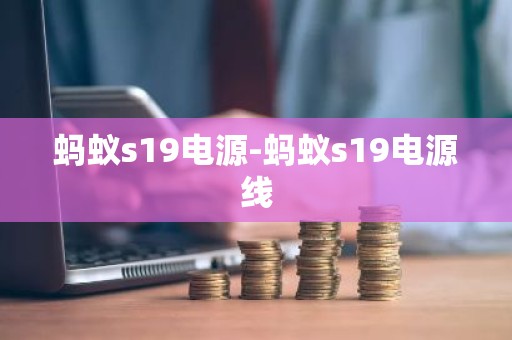 蚂蚁s19电源-蚂蚁s19电源线