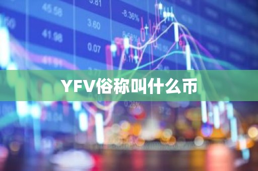 YFV俗称叫什么币