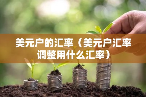 美元户的汇率（美元户汇率调整用什么汇率）