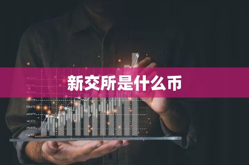 新交所是什么币