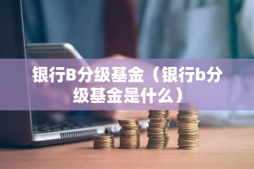 银行B分级基金（银行b分级基金是什么）
