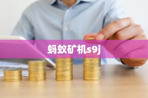 蚂蚁矿机s9j