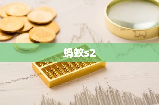 蚂蚁s2
