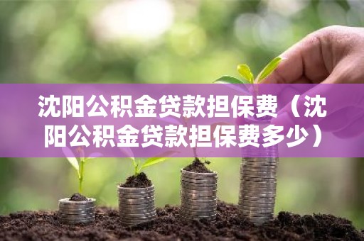 沈阳公积金贷款担保费（沈阳公积金贷款担保费多少）