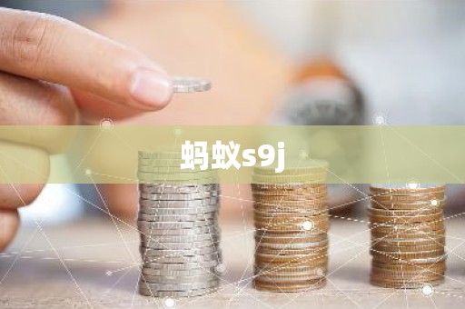 蚂蚁s9j