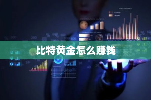 比特黄金怎么赚钱