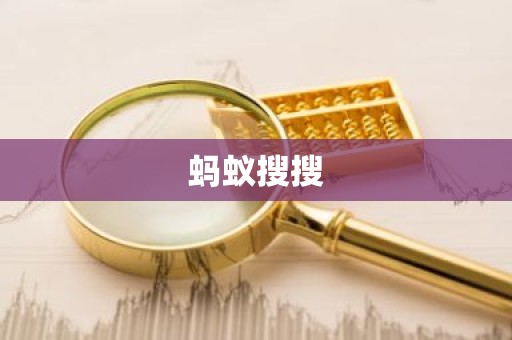 蚂蚁搜搜