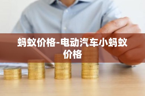 蚂蚁价格-电动汽车小蚂蚁价格