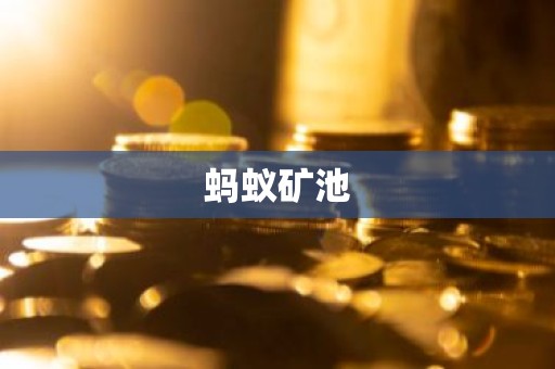 蚂蚁矿池